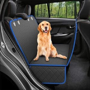 f1213750 b505 4d67 9968 edc0b23ce376.jpg